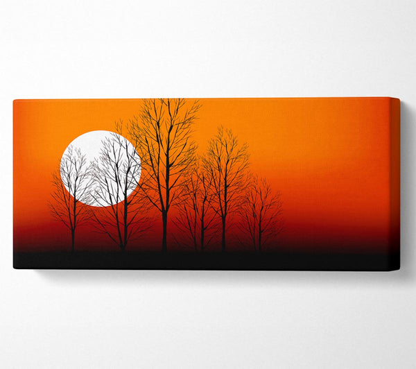 Orange Sunset Trees