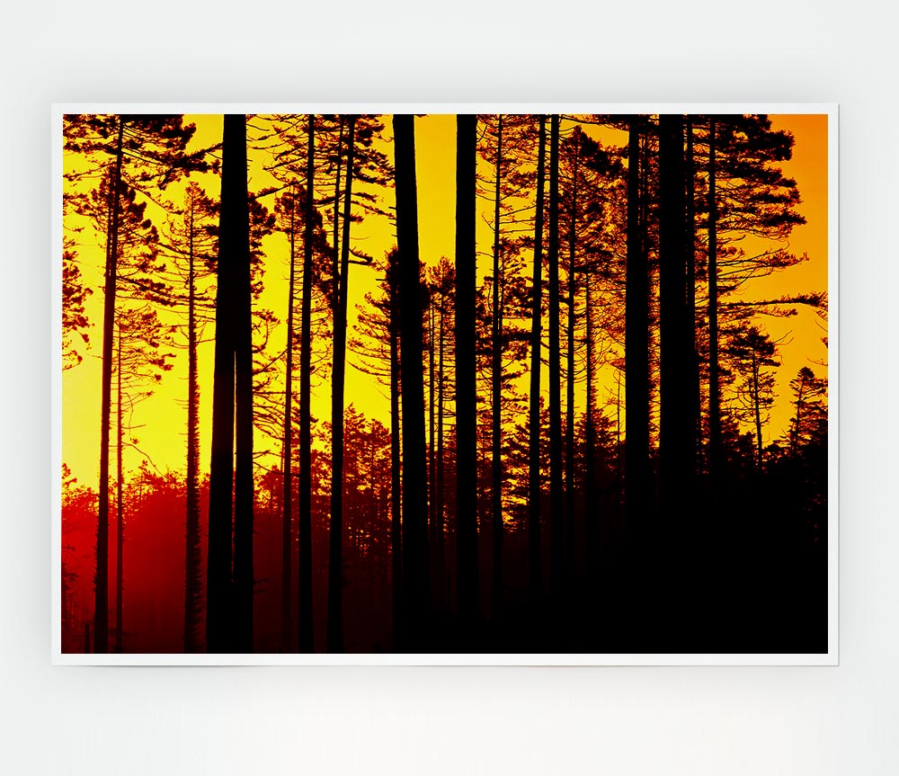 Through The Trees Print Poster Wall Art