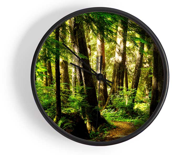 Sunbeam Woodland Clock - Wallart-Direct UK