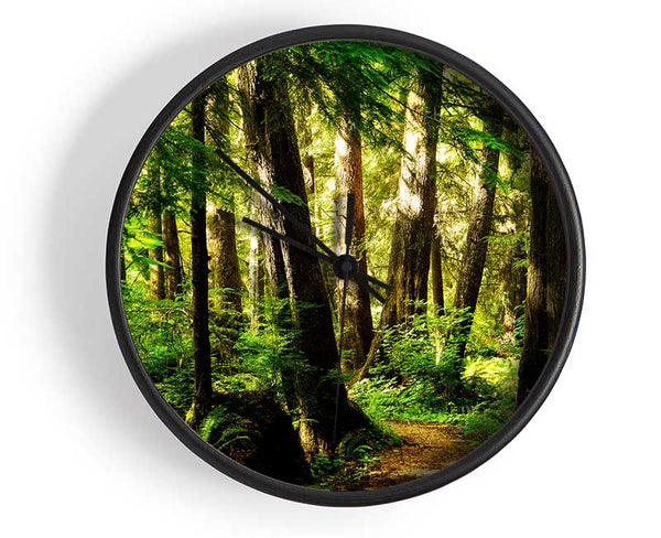 Sunbeam Woodland Clock - Wallart-Direct UK