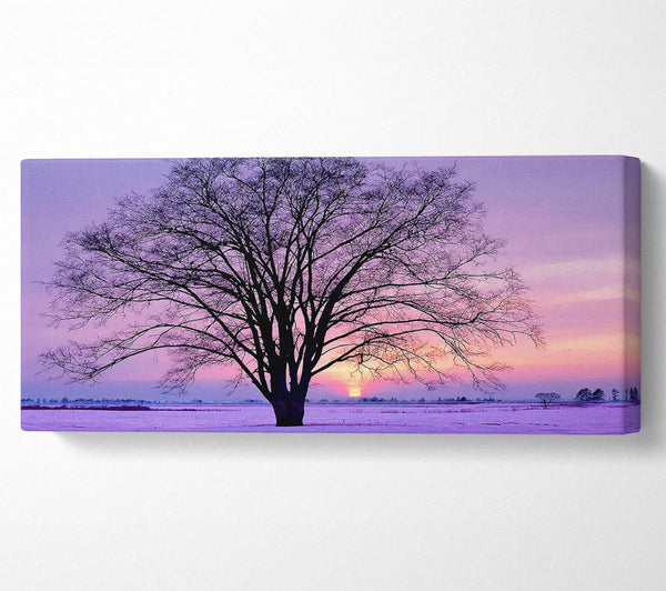 Sunrise In The Purple Winter