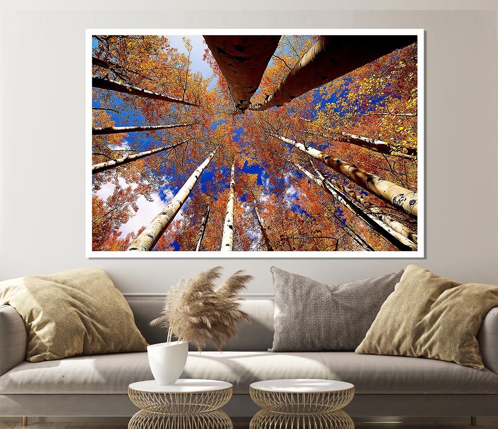 Above The Trees Print Poster Wall Art