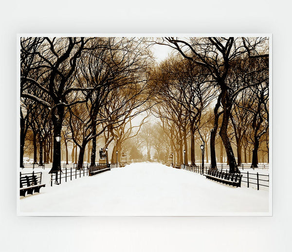 Winter Park Sepia Print Poster Wall Art