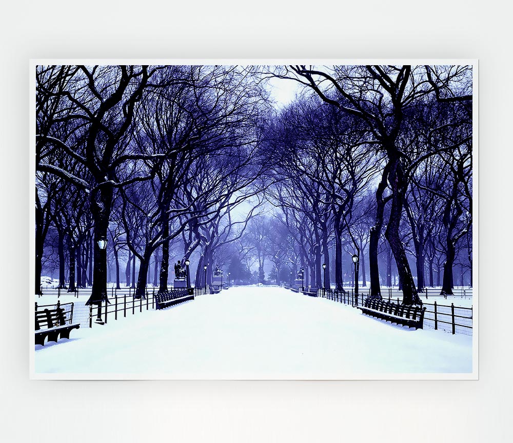 Winter Park Blue Print Poster Wall Art