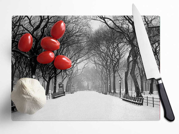 Winter Park B n W Glass Chopping Board