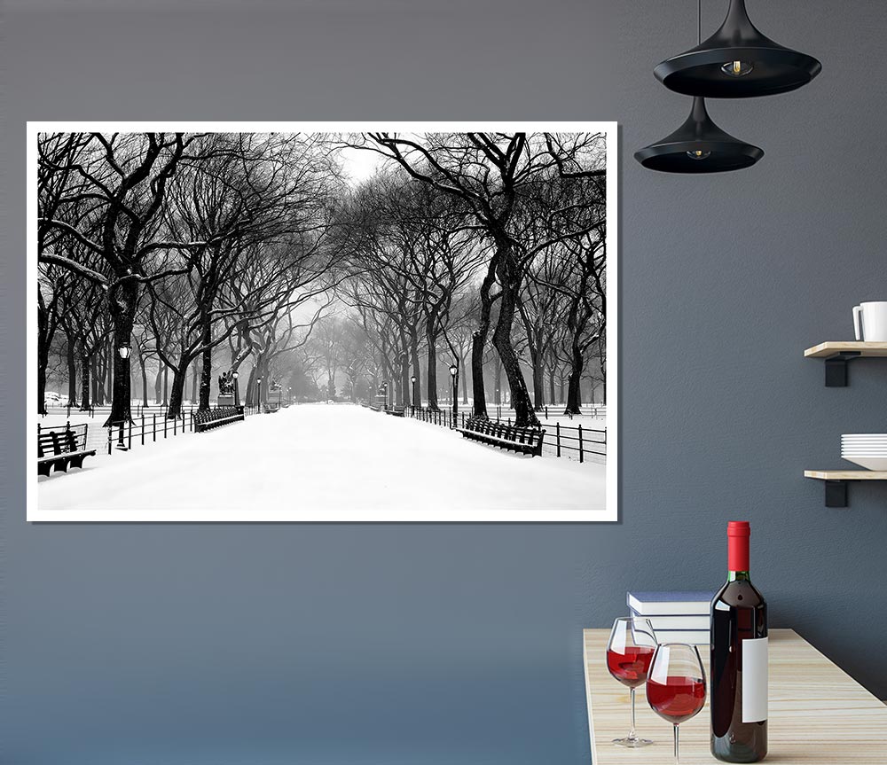 Winter Park B N W Print Poster Wall Art