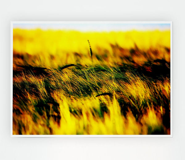 Wheatfield Yellow Print Poster Wall Art