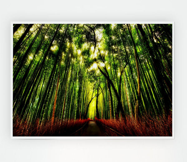 The Woodland Walk Print Poster Wall Art