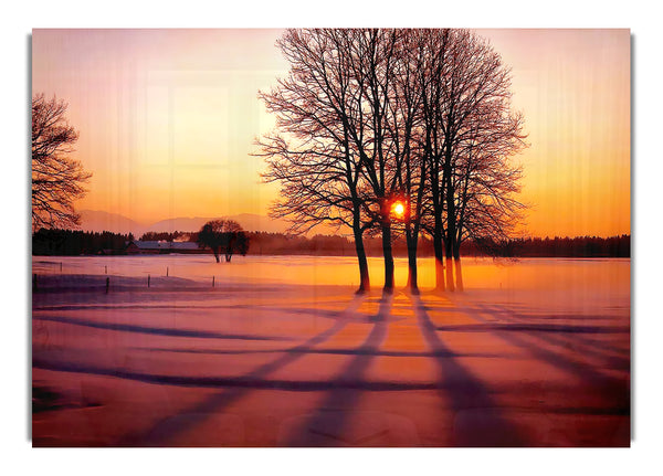 Winter Tree Sunrise Pinks