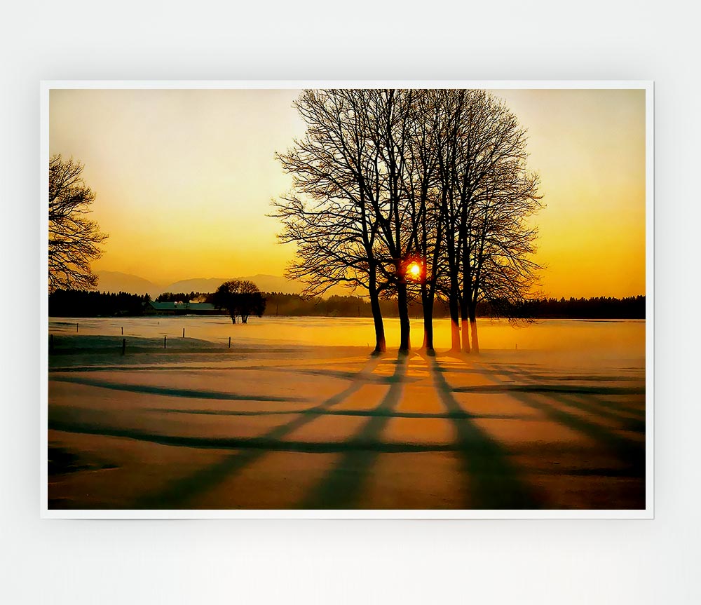 Winter Tree Sunrise Golden Print Poster Wall Art