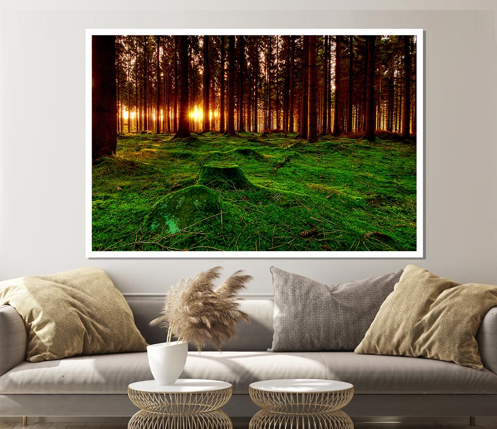 Beyond The Trees Print Poster Wall Art