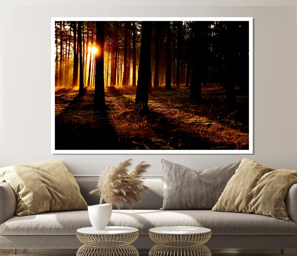 Woodland Sun Blaze Print Poster Wall Art