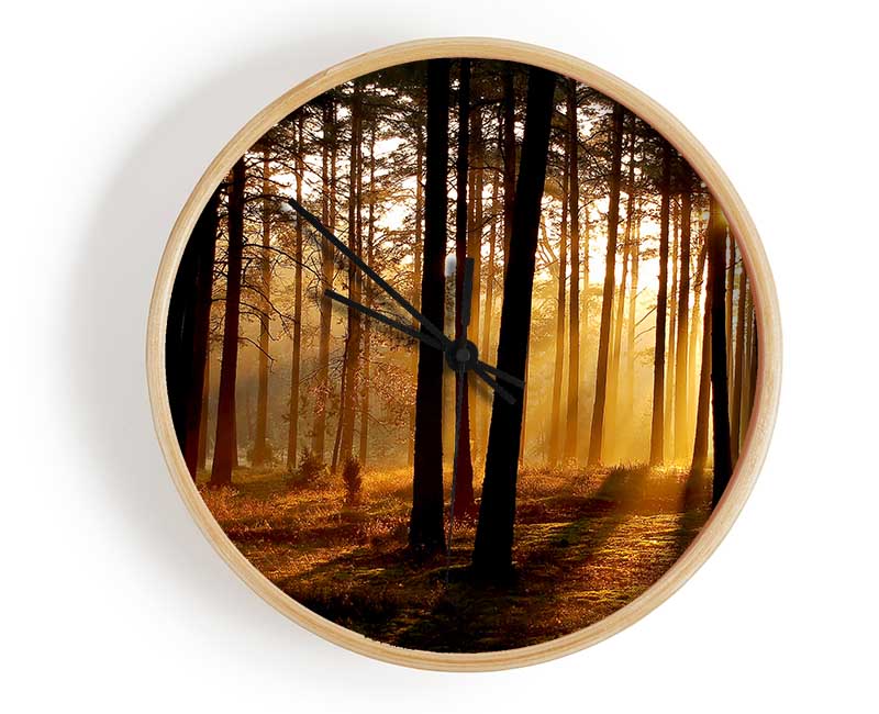 Morning Woodland Sun Mist Clock - Wallart-Direct UK