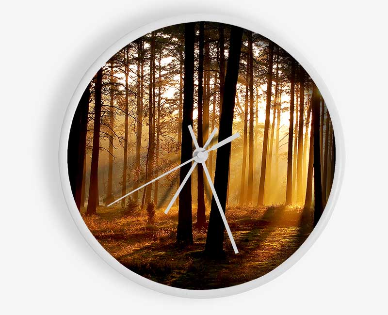 Morning Woodland Sun Mist Clock - Wallart-Direct UK