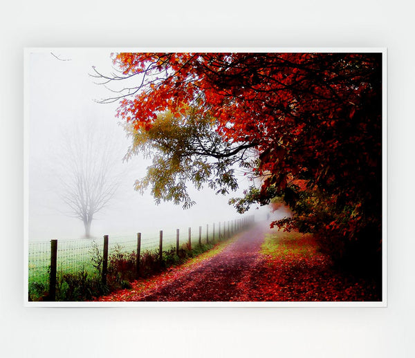 The Winter Path Print Poster Wall Art