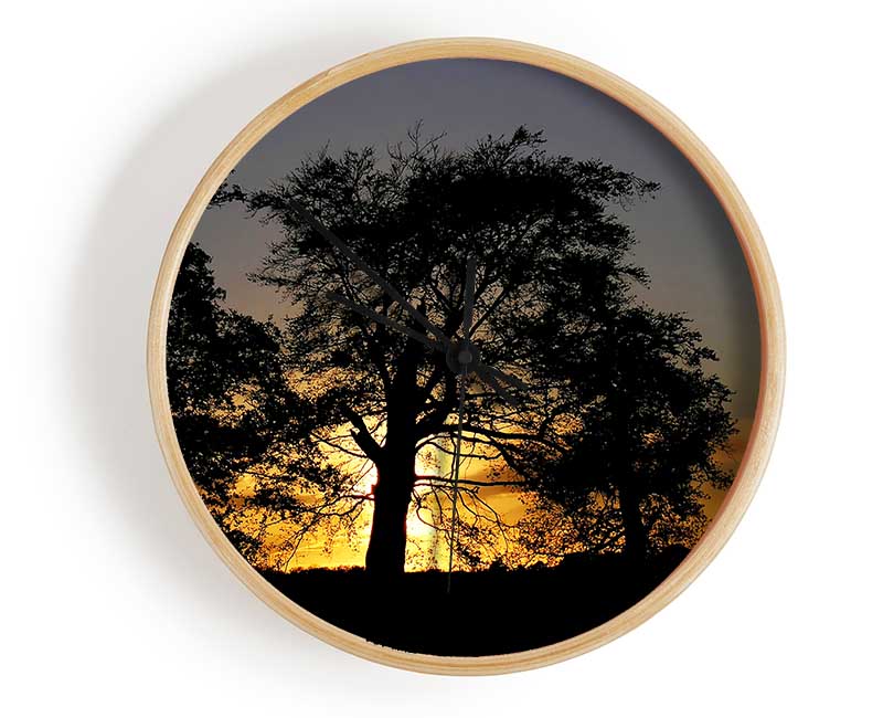 Morning Sun Trees Clock - Wallart-Direct UK