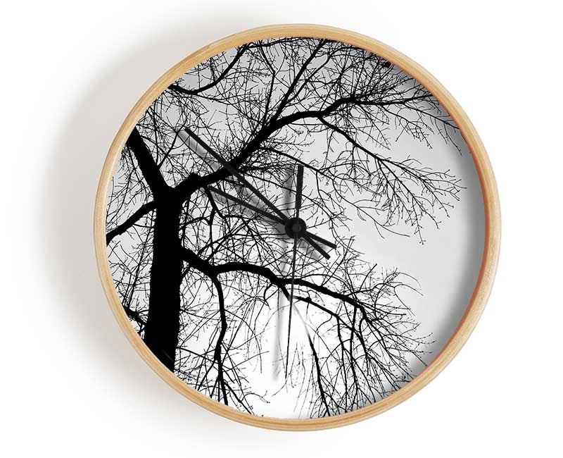 Winter Branches In The Sun B n W Clock - Wallart-Direct UK