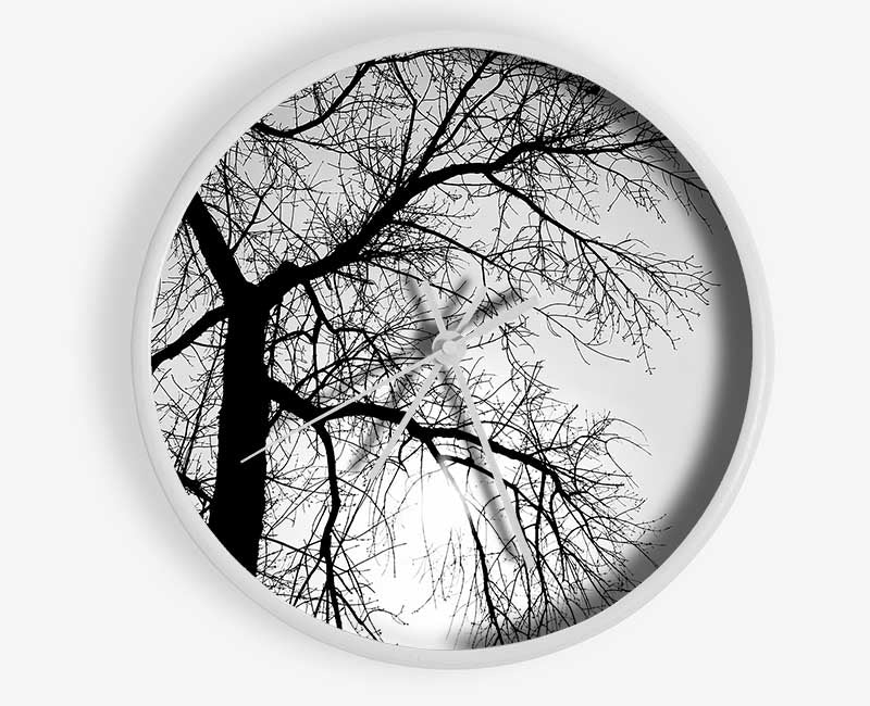 Winter Branches In The Sun B n W Clock - Wallart-Direct UK