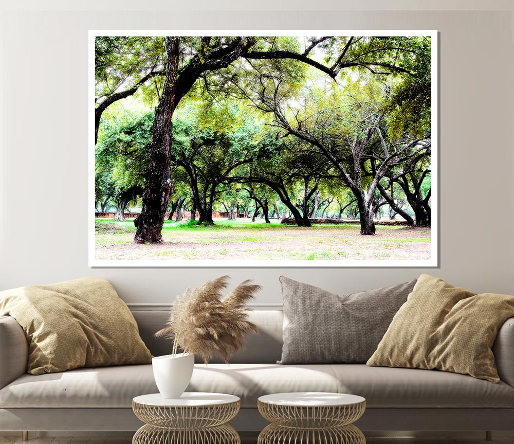 Ancient Woodland Trees Print Poster Wall Art