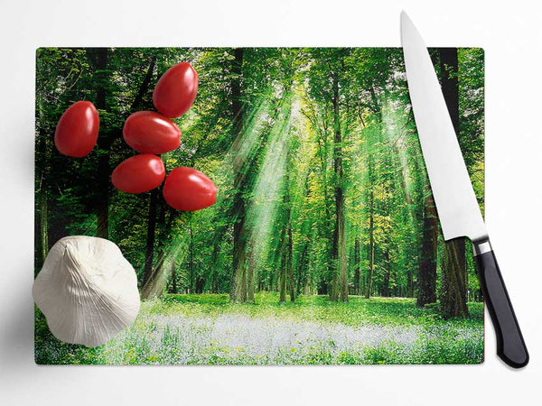 Sunbeams From Heaven Glass Chopping Board