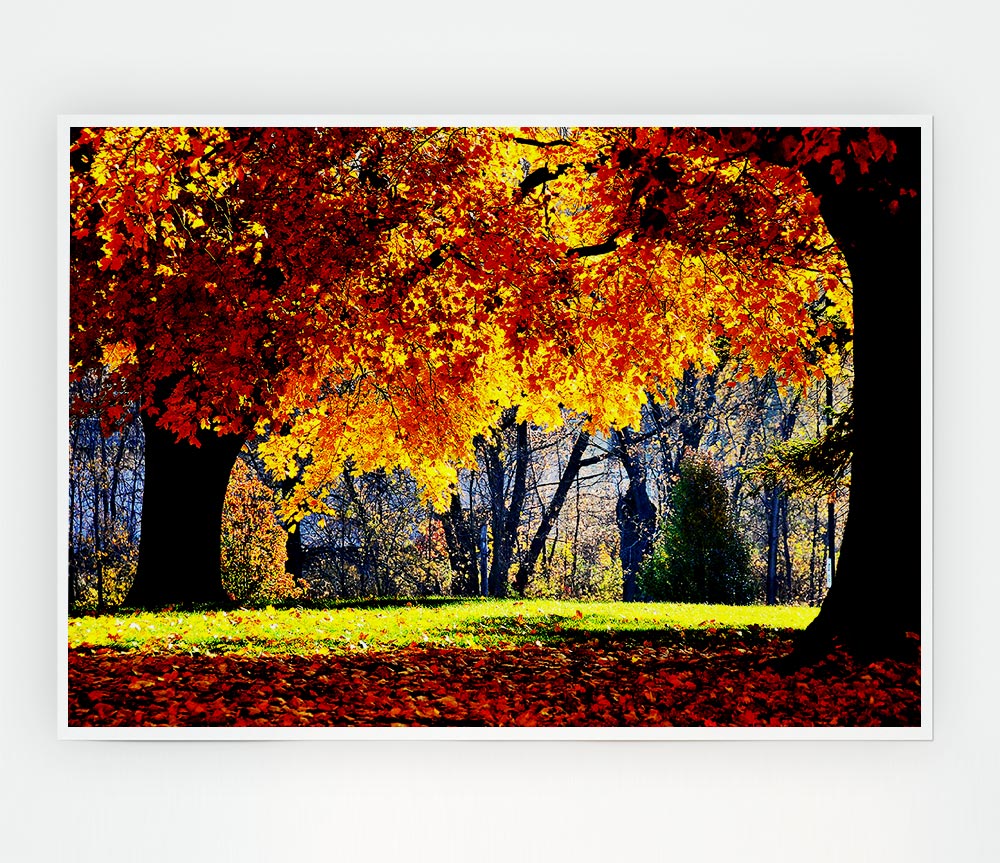 The Golden Autumn Tree Print Poster Wall Art