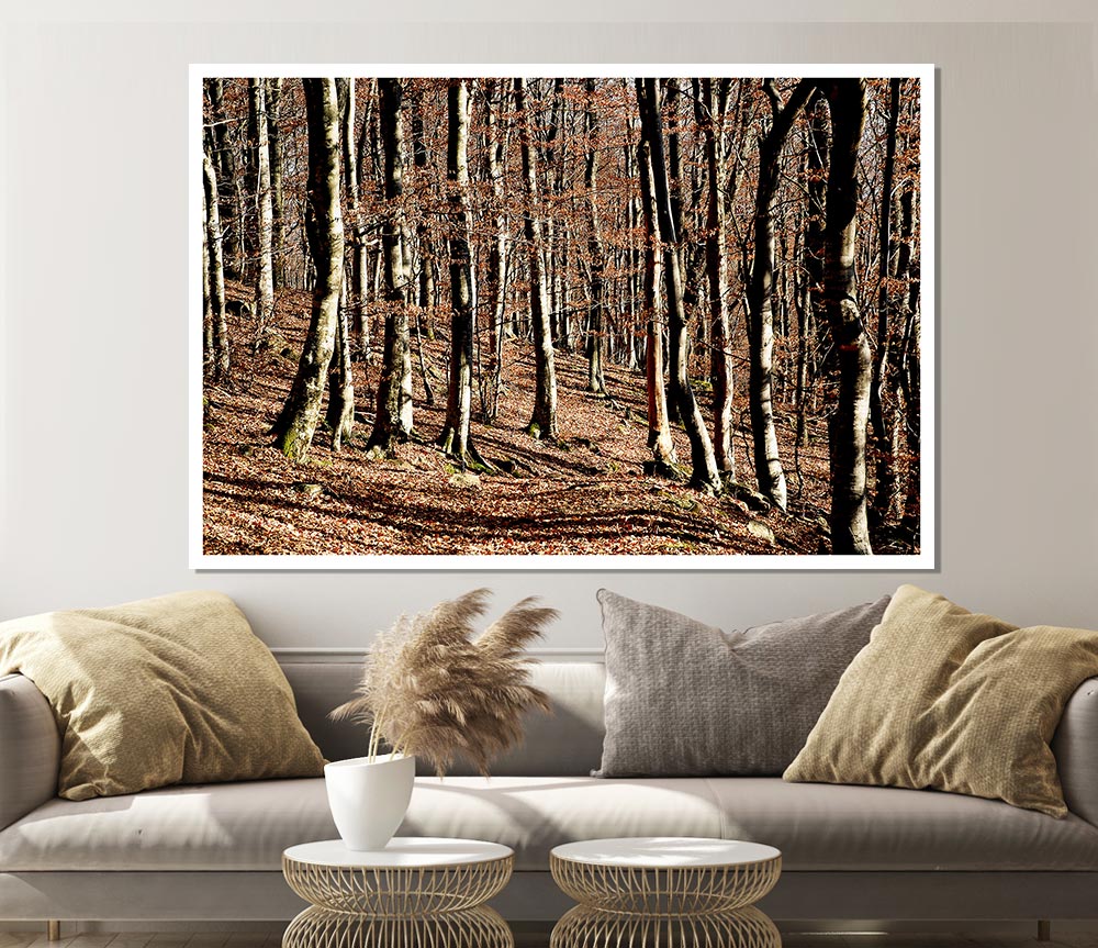 Woodland Beauty Print Poster Wall Art