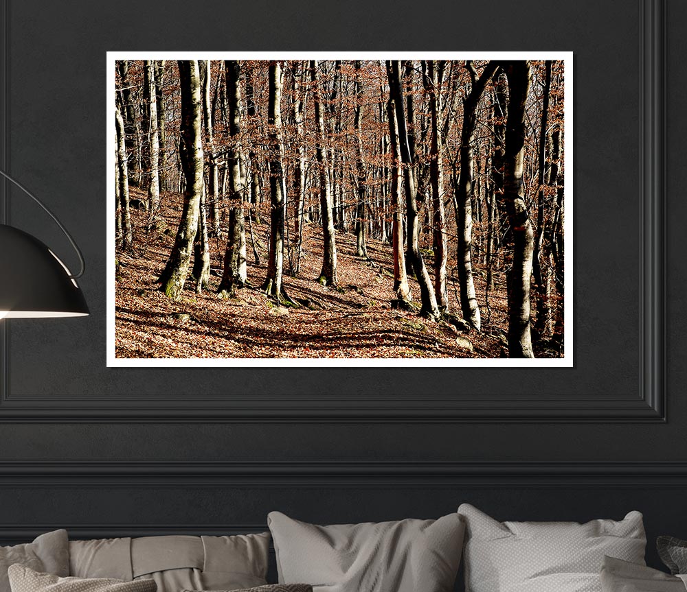 Woodland Beauty Print Poster Wall Art