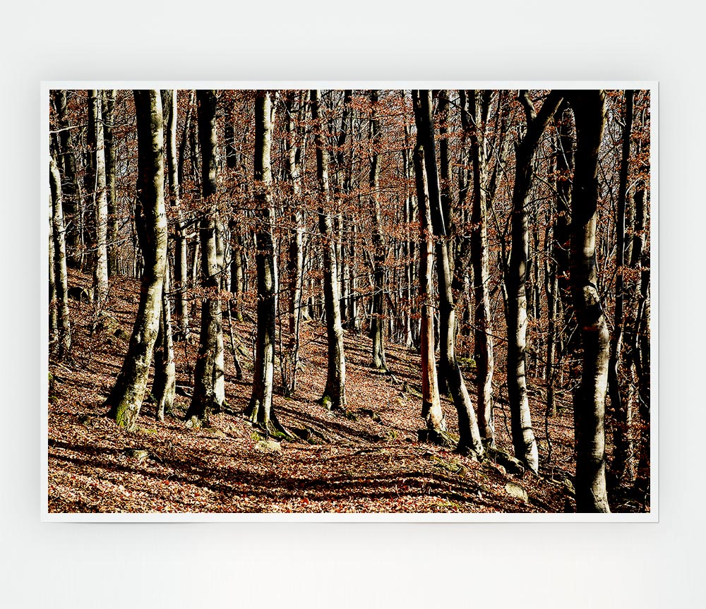 Woodland Beauty Print Poster Wall Art