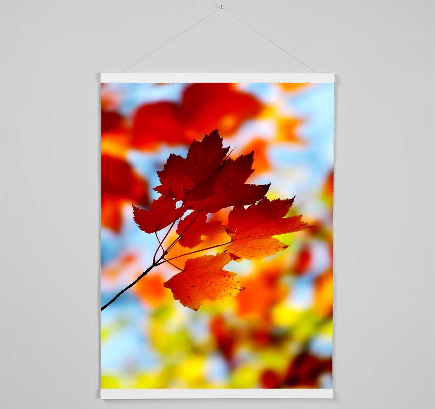 Sun Through The Autumn Leaves Hanging Poster - Wallart-Direct UK