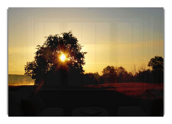 Sun Piercing Through The Tree