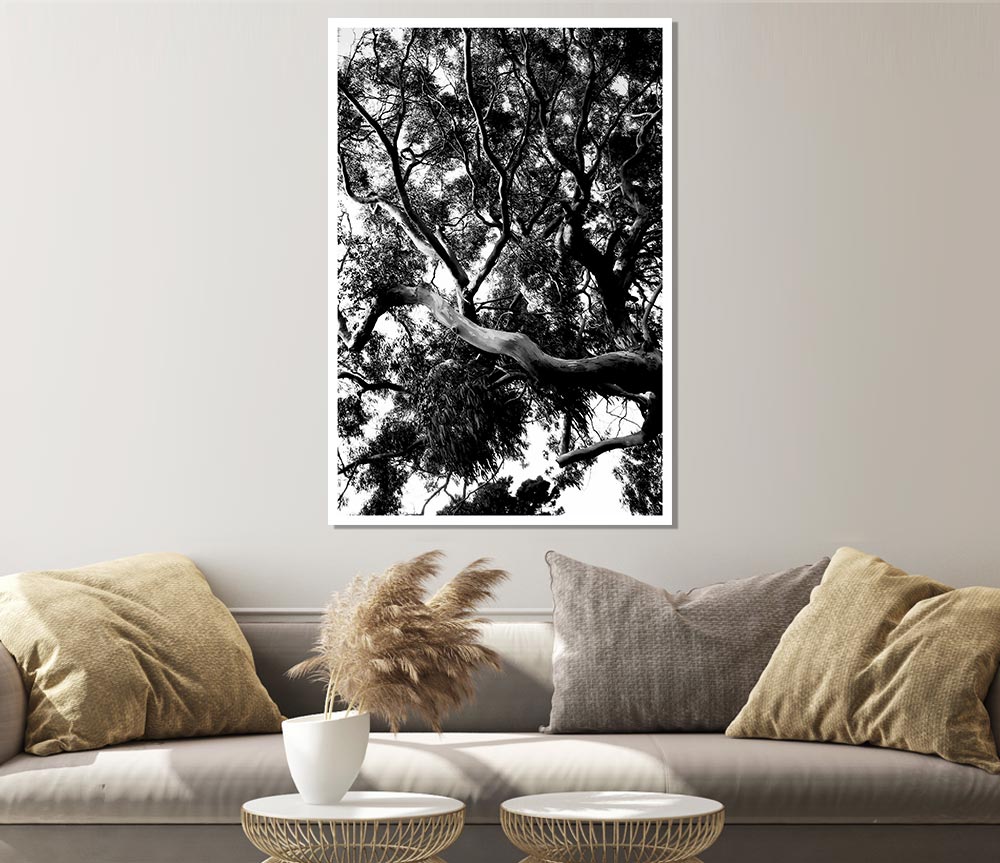 Tree In The Wind B N W Print Poster Wall Art