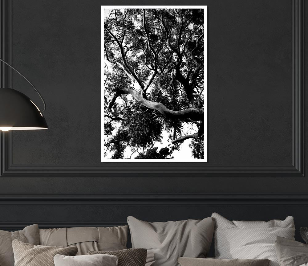 Tree In The Wind B N W Print Poster Wall Art