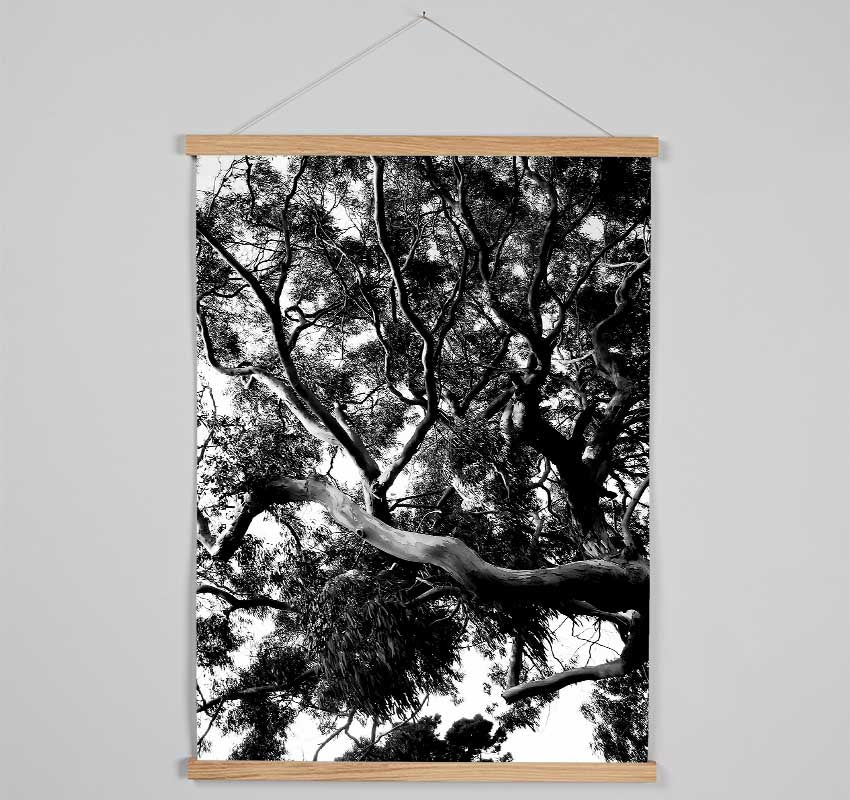 Tree In The Wind B n W Hanging Poster - Wallart-Direct UK