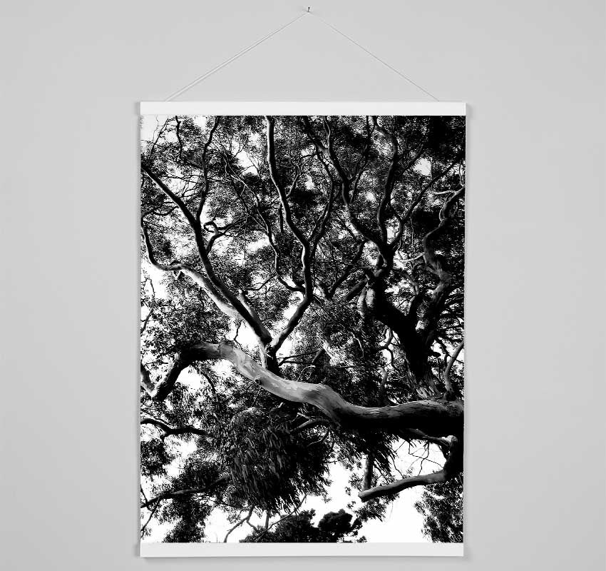 Tree In The Wind B n W Hanging Poster - Wallart-Direct UK