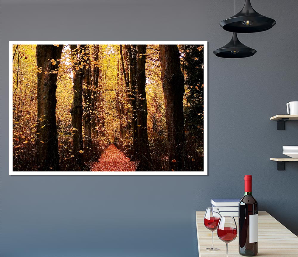 Woodland Walkway Print Poster Wall Art