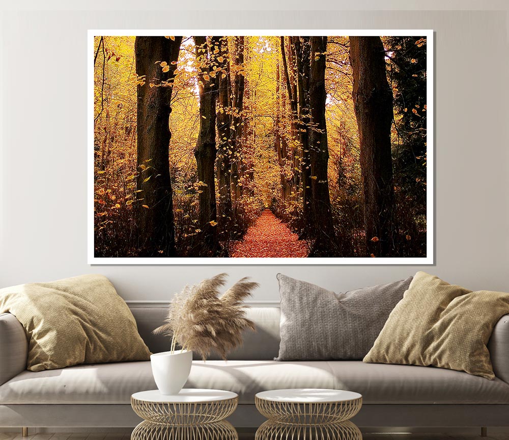 Woodland Walkway Print Poster Wall Art