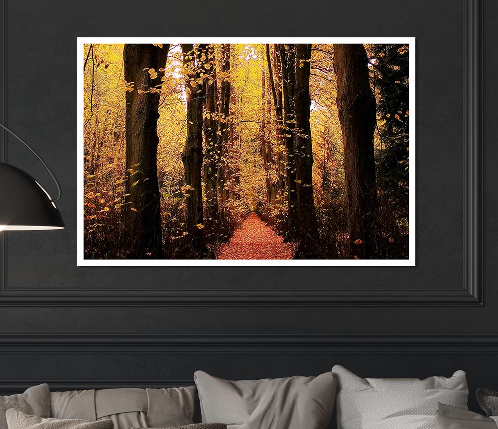 Woodland Walkway Print Poster Wall Art