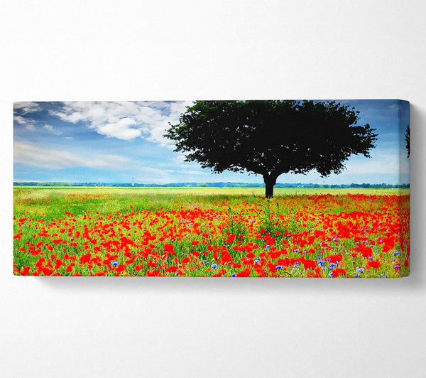 Poppy Field Tree