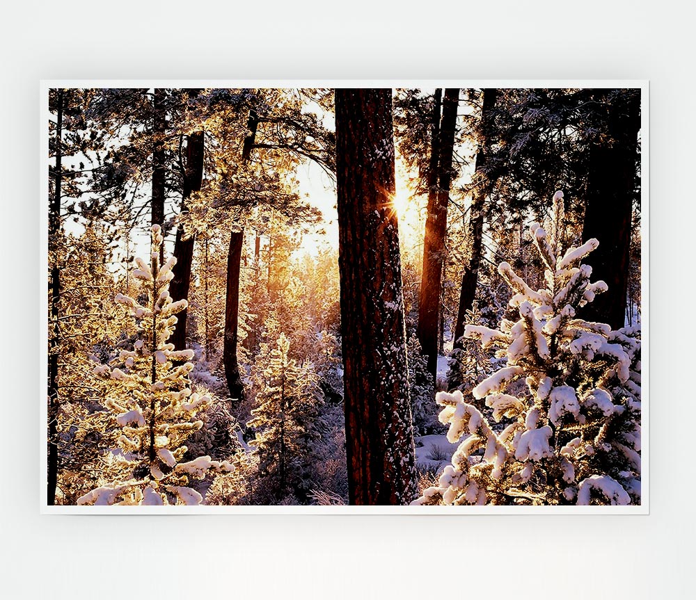 Winter Woodland Print Poster Wall Art