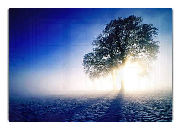 Misty Tree At Sunrise