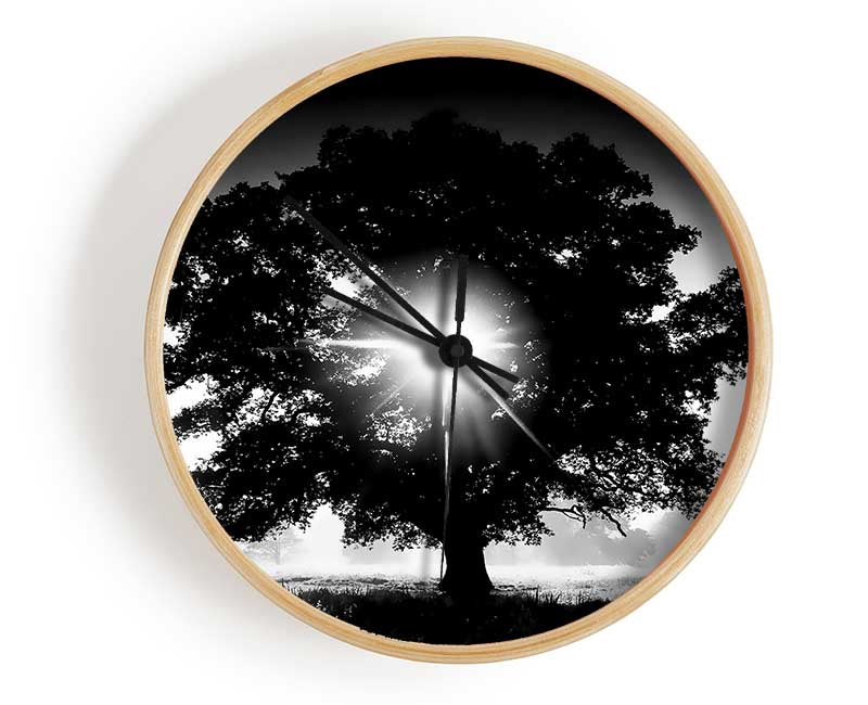 Sun Through The Tree B n W Clock - Wallart-Direct UK