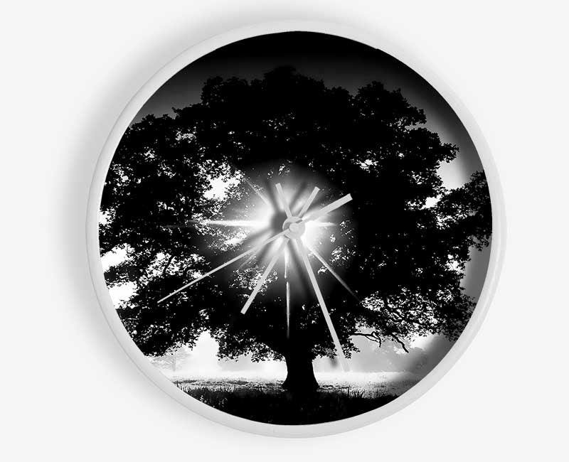 Sun Through The Tree B n W Clock - Wallart-Direct UK