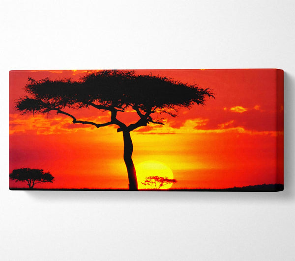 Glowing Orange African Tree