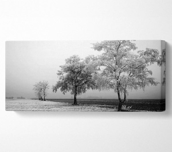 Winter Mist B n W