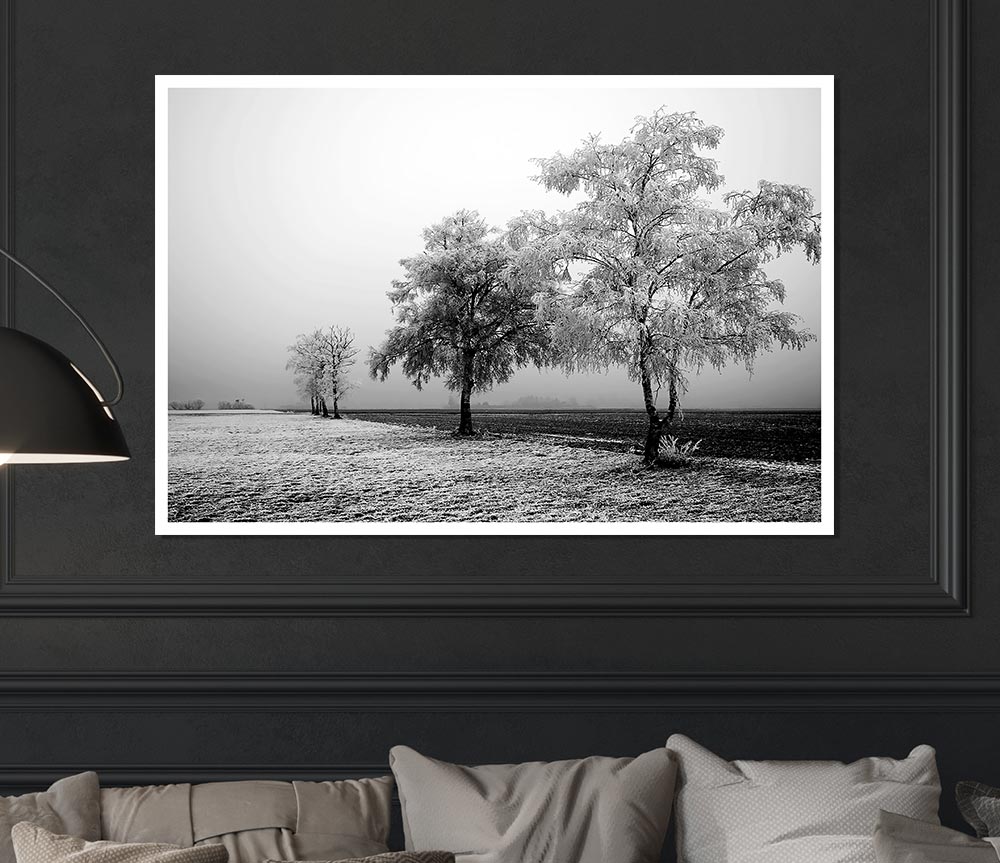 Winter Mist B N W Print Poster Wall Art