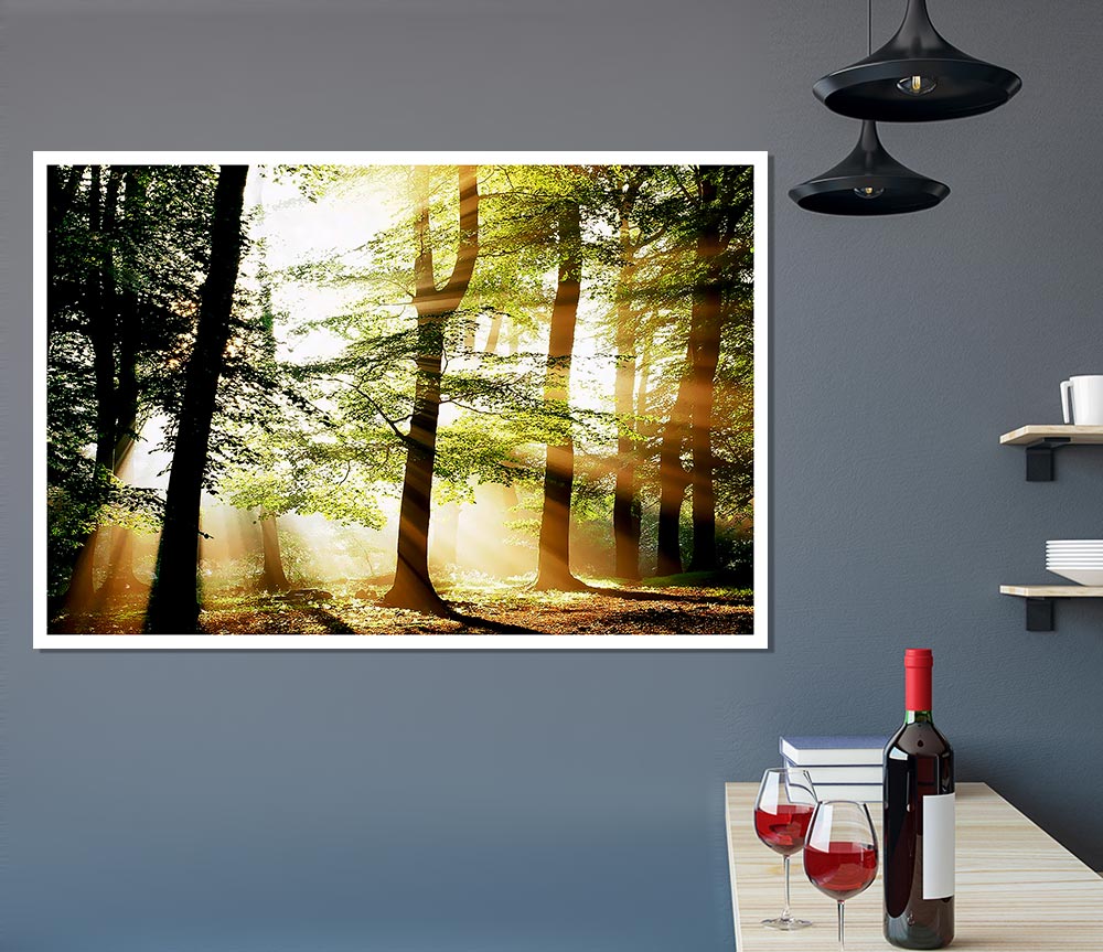 Treeline Sunbeam Print Poster Wall Art