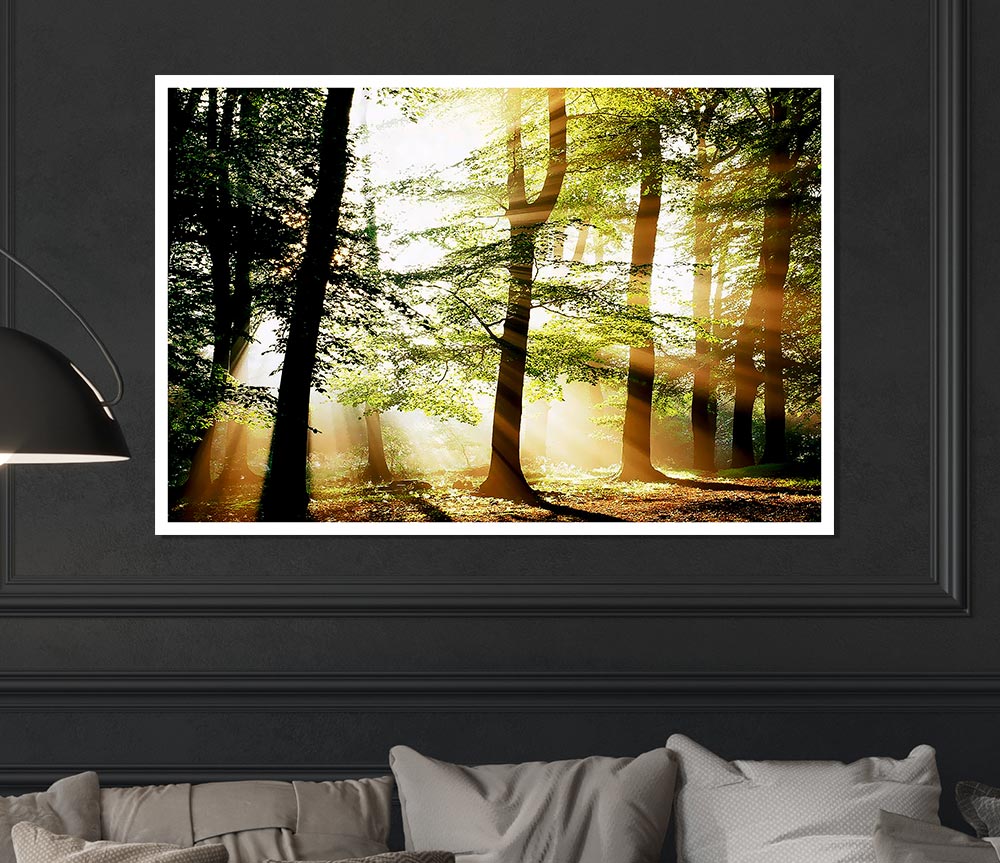 Treeline Sunbeam Print Poster Wall Art