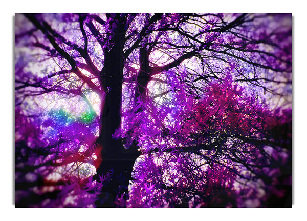 Psychedelic Tree