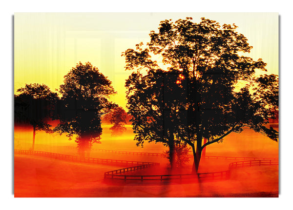 Orange Treeline Mist