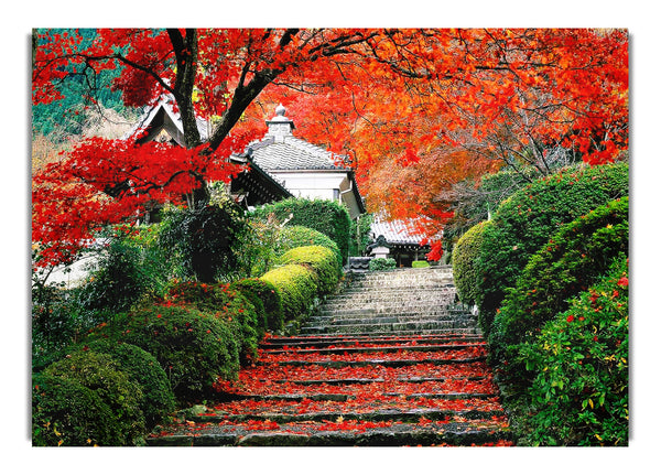 Red Autumn Garden